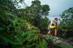 BIB: 
                            <button type="button" onclick="openModal(26196907)" class="btn btn-primary btn-sm float-right btn-popup" data-toggle="modal" data-target=".modal-high-quality">
                        <i class="fas fa-shopping-cart"></i> Add to Cart
                    </button>
                                            <button type="button" onclick="isThisMe(26196907, true)" class="btn btn-success btn-sm float-right btn-popup btn-isme hidden" data-toggle="tooltip" data-placement="bottom" title="นี่คือรูปของคุณใช่ไหม คลิกที่นี่เพื่อเอาเข้าอัลบั้ม">
                        <i class="fas fa-plus"></i> Add to album
                    </button>
                    <button type="button" onclick="isThisMe(26196907, false)" class="btn btn-warning btn-sm float-right btn-popup btn-isnotme hidden">
                        <i class="fas fa-ban"></i> Remove from album
                    </button>